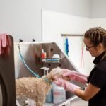 Perro siendo bañado en casa con champú especializado
